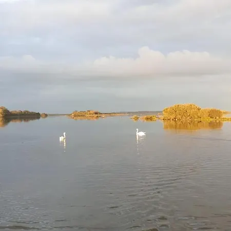 住宿加早餐酒店 Birchall 戈尔韦