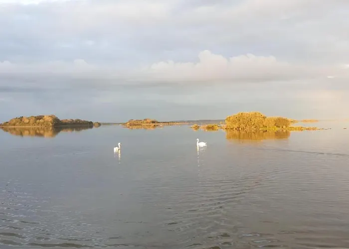 Bed & Breakfast Birchall Galway